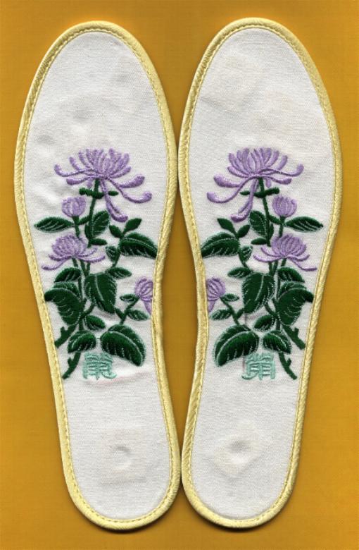 shoepadjing.JPG (67523 bytes)
